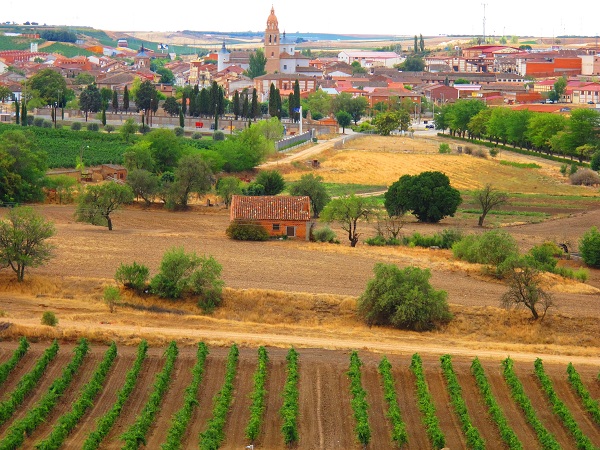 #1 - Campo+ Pueblo DO Rueda.JPG